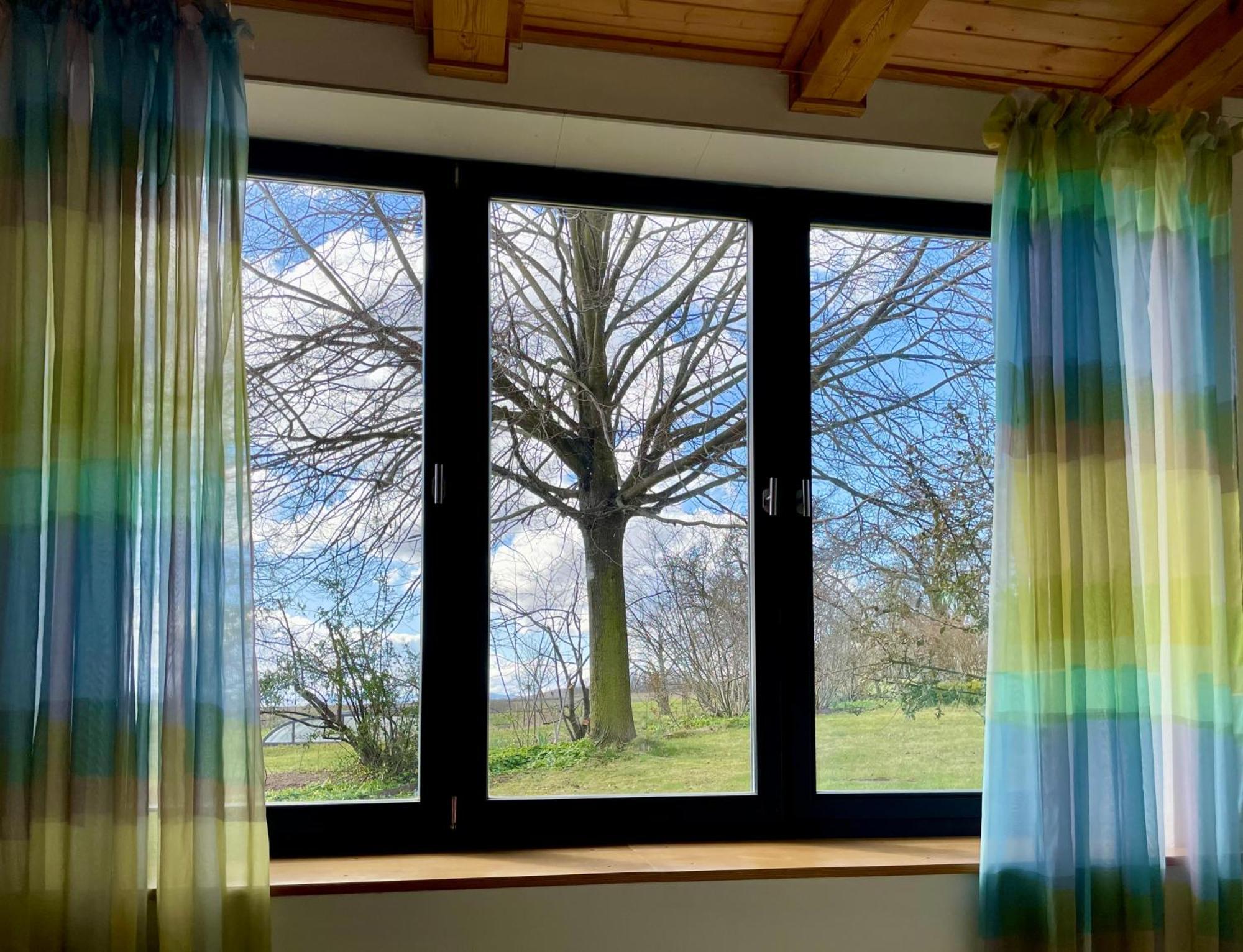 Alte Scheune Rietzschelhof Muglitztal Esterno foto