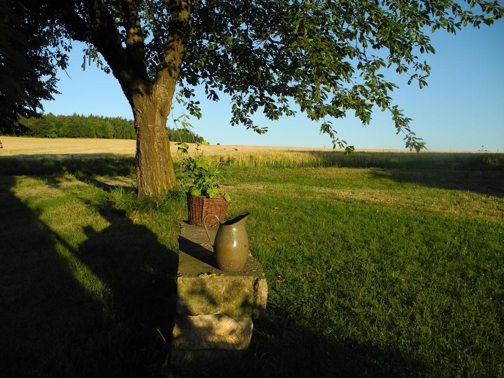 Alte Scheune Rietzschelhof Muglitztal Esterno foto
