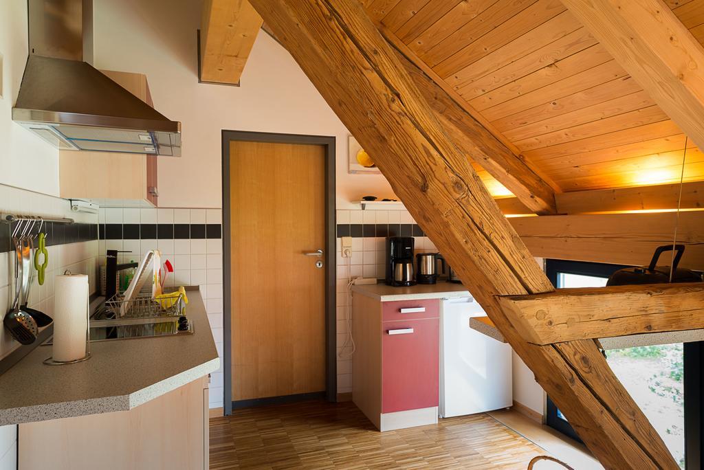 Alte Scheune Rietzschelhof Muglitztal Esterno foto