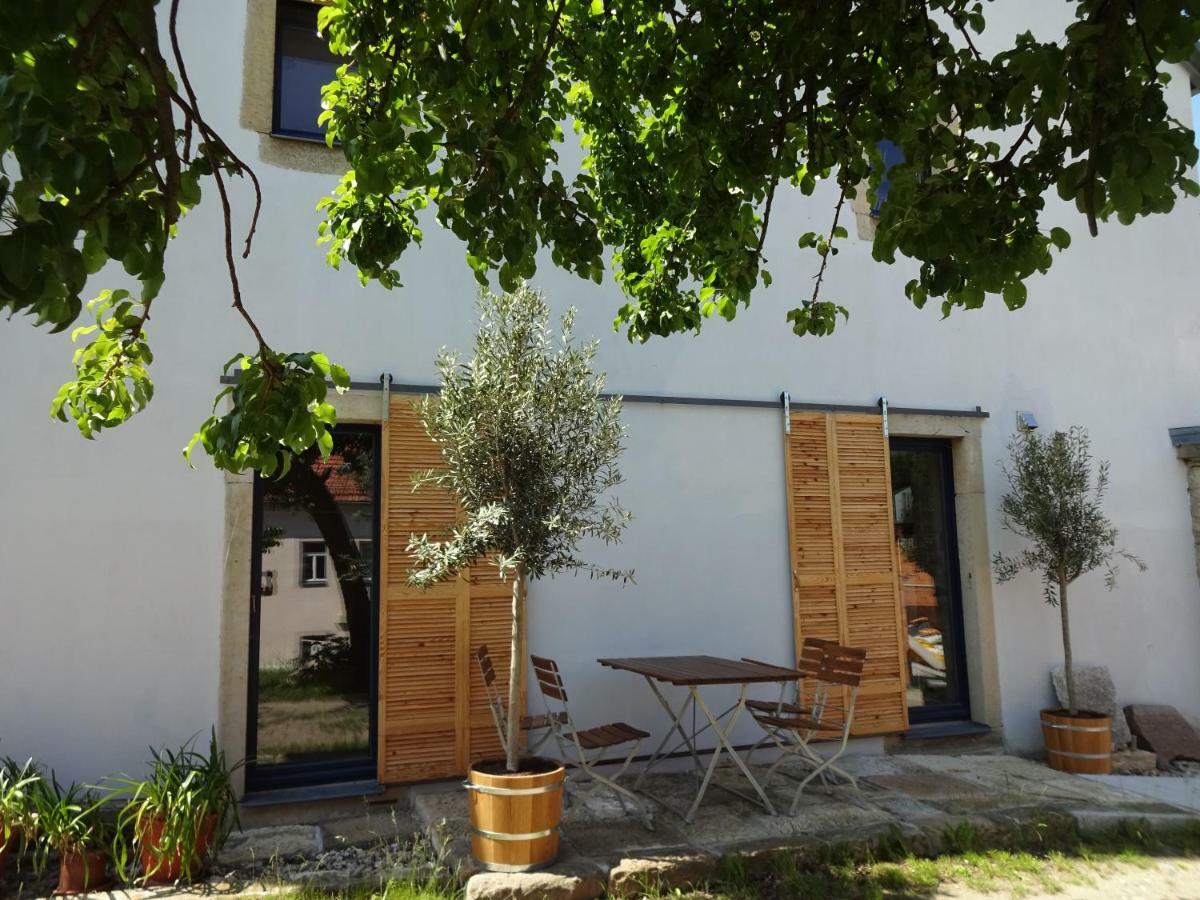 Alte Scheune Rietzschelhof Muglitztal Esterno foto
