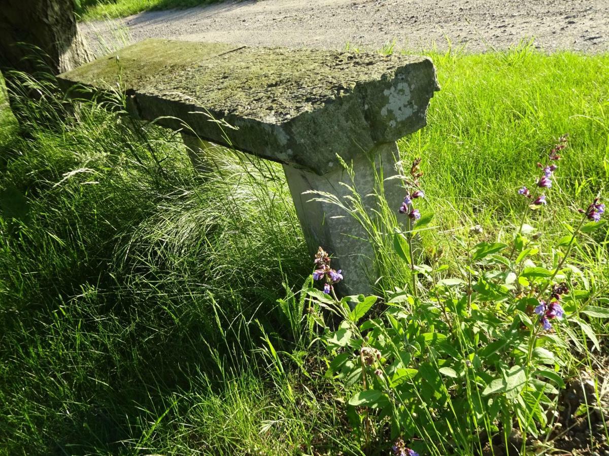 Alte Scheune Rietzschelhof Muglitztal Esterno foto